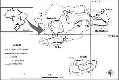 Colonization, Growth and Productivity of Crustose Coralline Algae in Sunlit Reefs in the Atlantic Southernmost Coral Reef